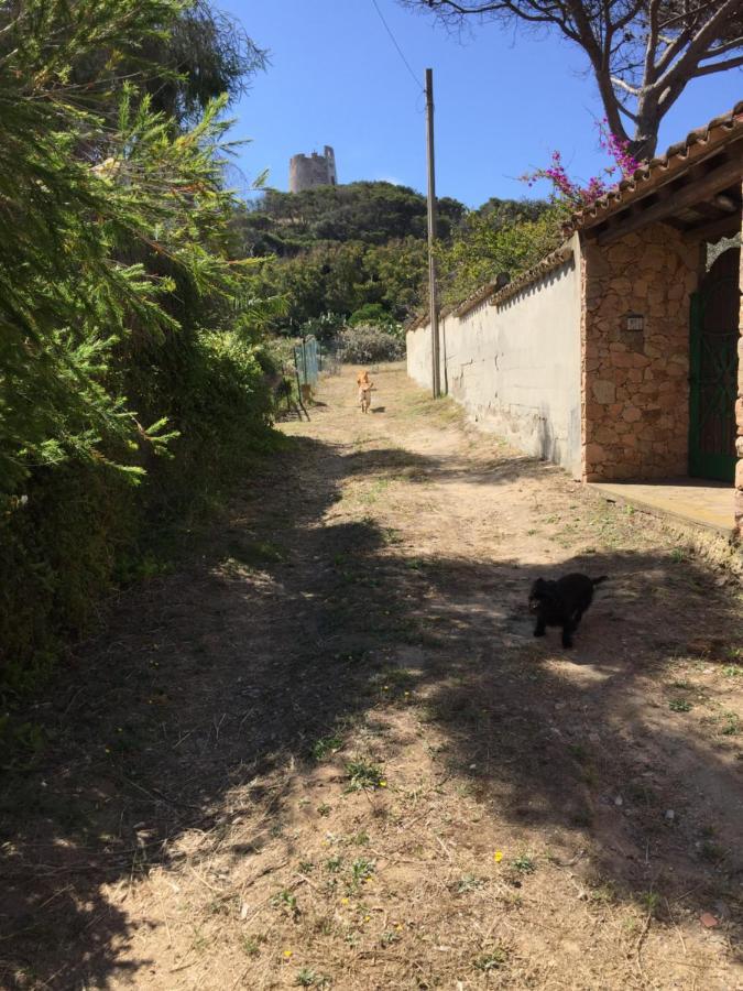 키아 La Casa Sotto La Torre 빌라 외부 사진